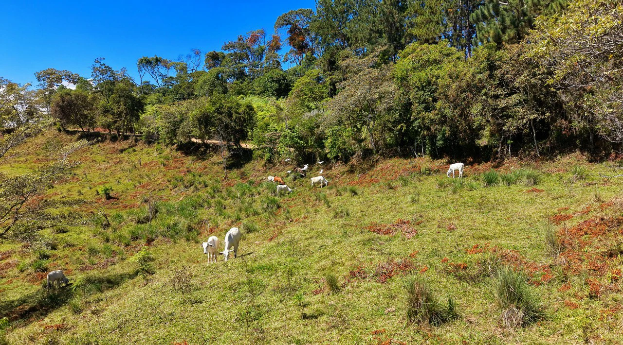 Agricultural Land For Sale in MORAZAN - Gallery image 18