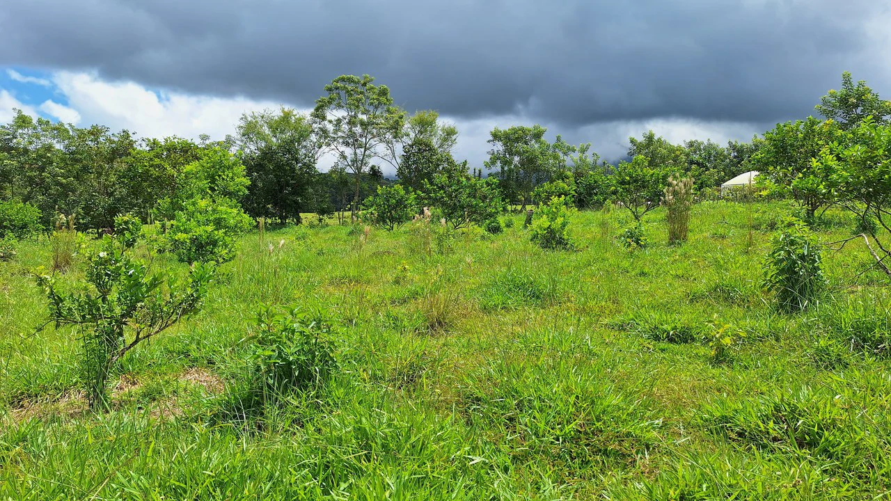 Se vende lote agrícola, en Cajón, Perez Zeledon.: Mountain Home Construction Site For Sale in Cajón - Gallery image 19
