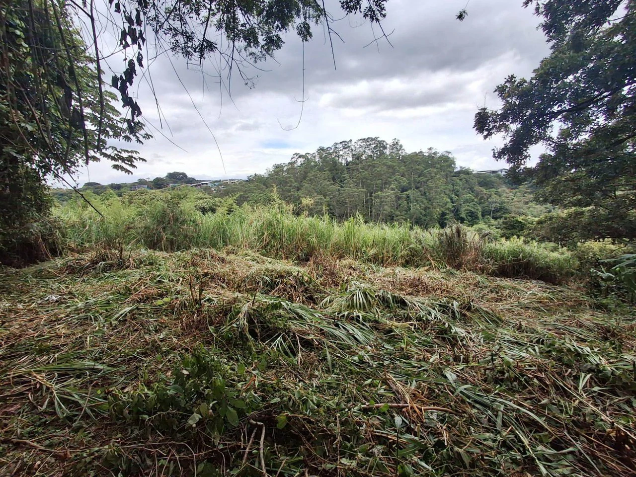 Hot Market: 2.6 Ha for Residential Development in the heart of the action! - photo 10