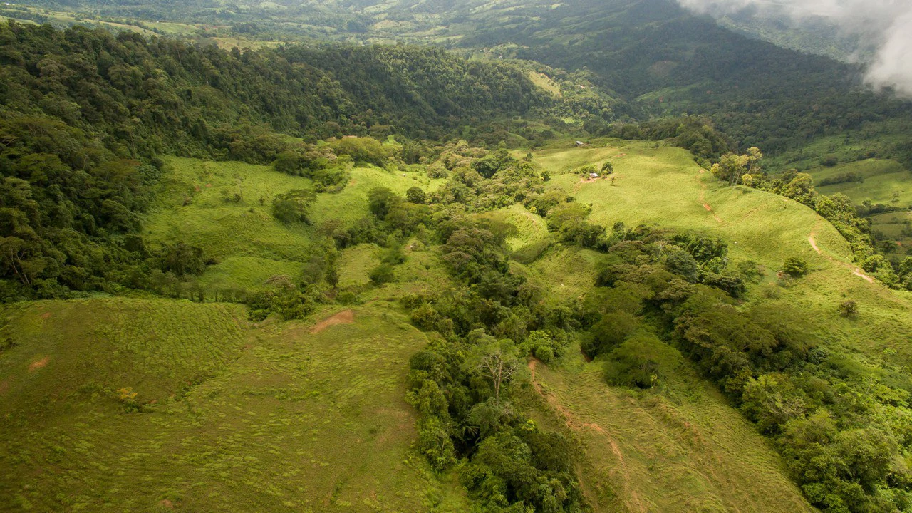 Off Grid 70-Hectare Farm with Stunning Ocean Views and Freshwater Springs - Gallery image 26