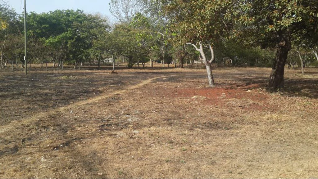 Building lots for sale in Cañas Dulces, flat land in a rural area near Liberia