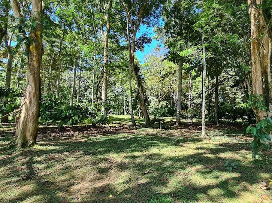 Cahuita Developer Lot - Gallery image 2