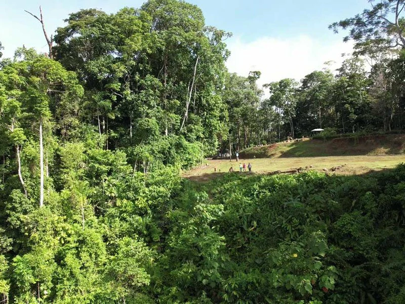 2.47 Acres Property | Mountain Top Ocean View lot in Bahía Chal - Gallery image 8