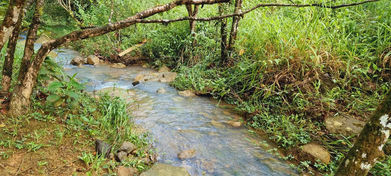 Lote 46 RISE: BEAUTIFUL 1.37-ACRE LOT WITH CREEK FOR SALE IN THE HEART OF THE RESIDENCIAL RISE, SANTA ELENA - Gallery image 10