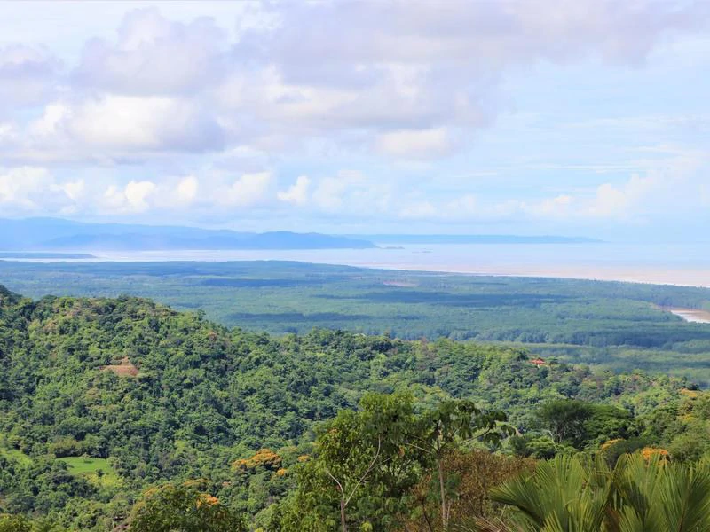 Captivating 3.15-Acre Property: Huge Pricedrop! Firesale Oceanview Lot in Tres Rios - Gallery image 52