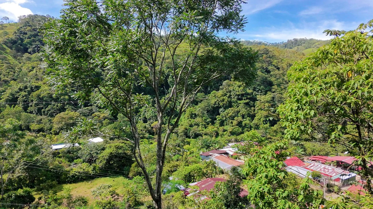 Lote en Chimirol, Costa Rica: Mountain Home Construction Site For Sale in San Isidro del General - Gallery image 6