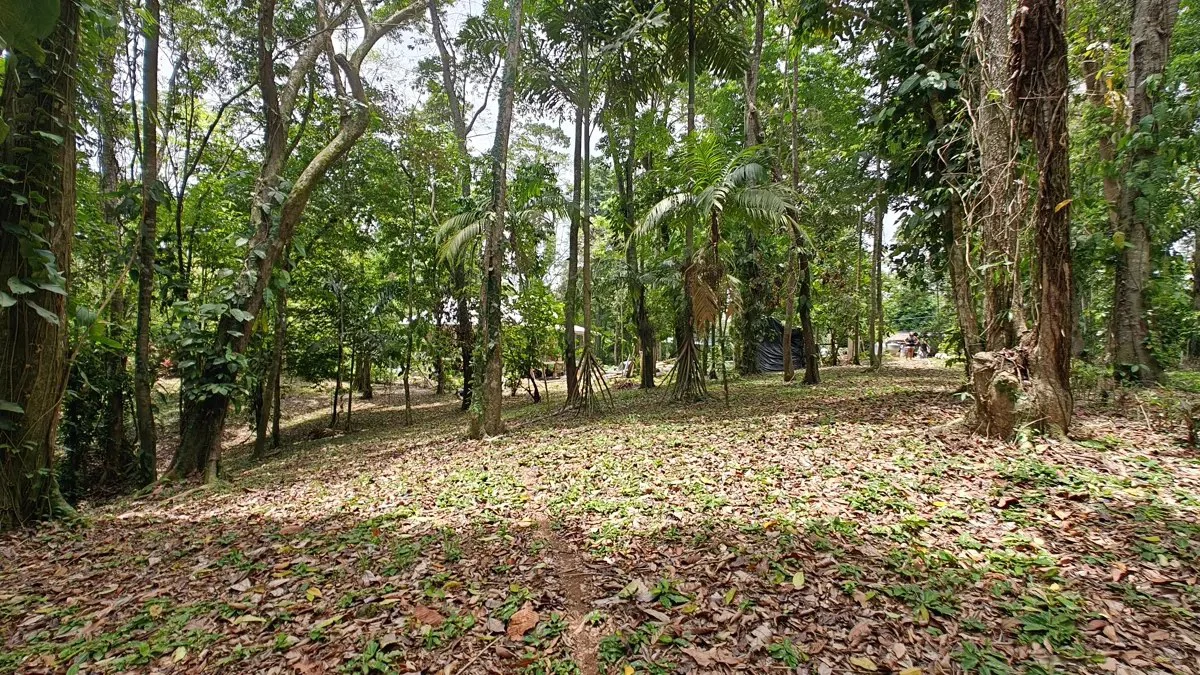 ID 1121: 1,979m² Titled Lot - Last Available Lot in Punta Uva Hills - Near Punta Uva Beach