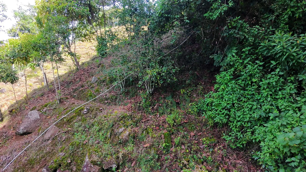 Lote en Chimirol, Costa Rica: Mountain Home Construction Site For Sale in San Isidro del General - Gallery image 3