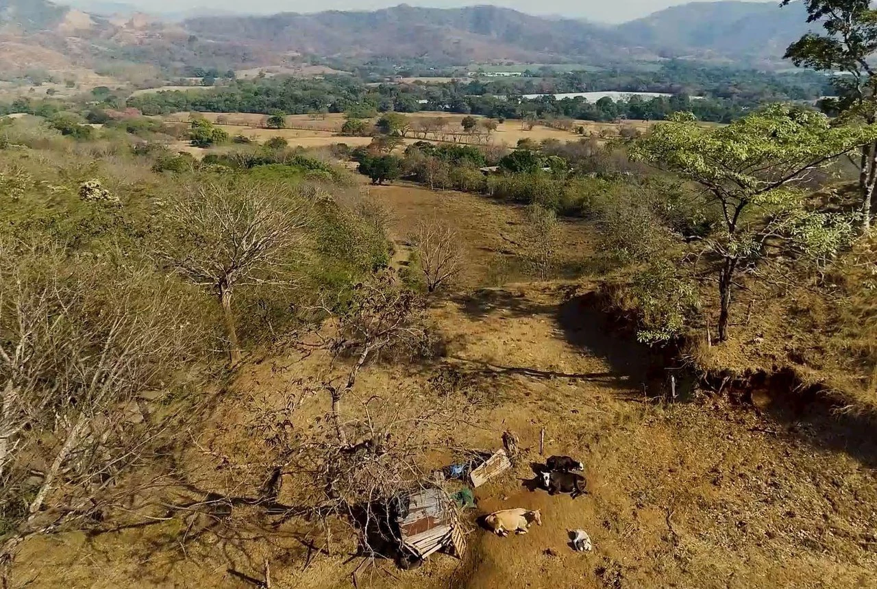 Finca Las Nubes: Amazing 75 Hectare / 185 Acre Finca, with a 300 m2 Main Home and Pool Built above the Clouds - Gallery image 25