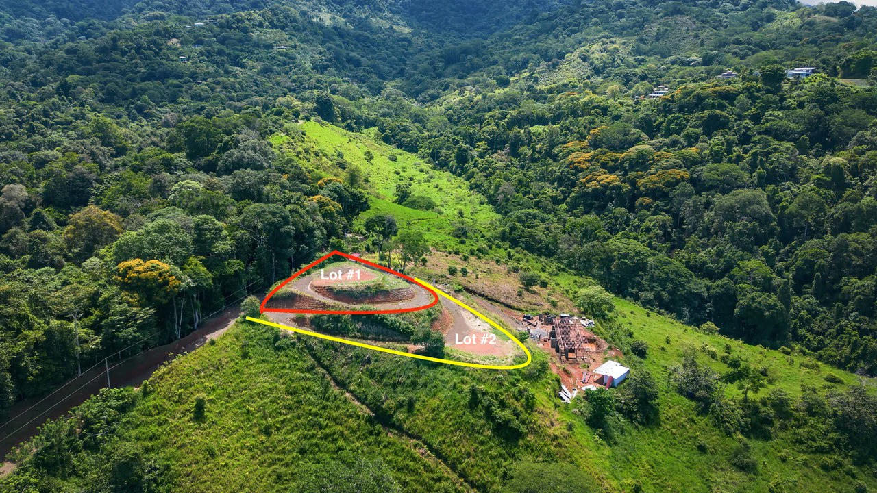Luxury Ocean View Lot in Piñuelas - Premier Building Site - Gallery image 2