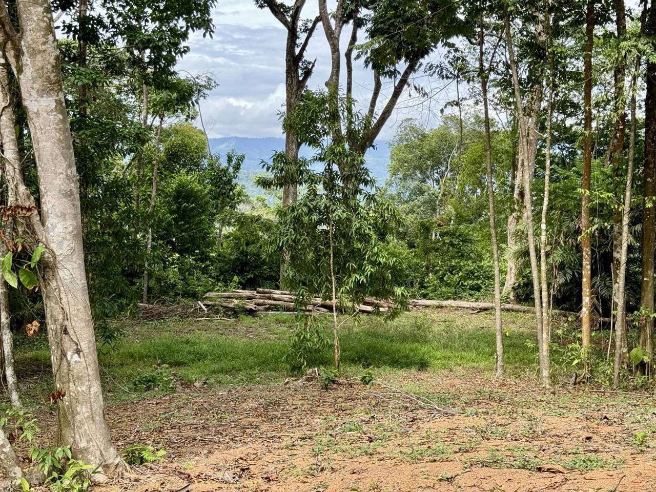 5.11 ACRES – Ocean And Mountain View Estate Property, Several Flat Buildable Areas, Legal ASADA Water!!! - Gallery image 4