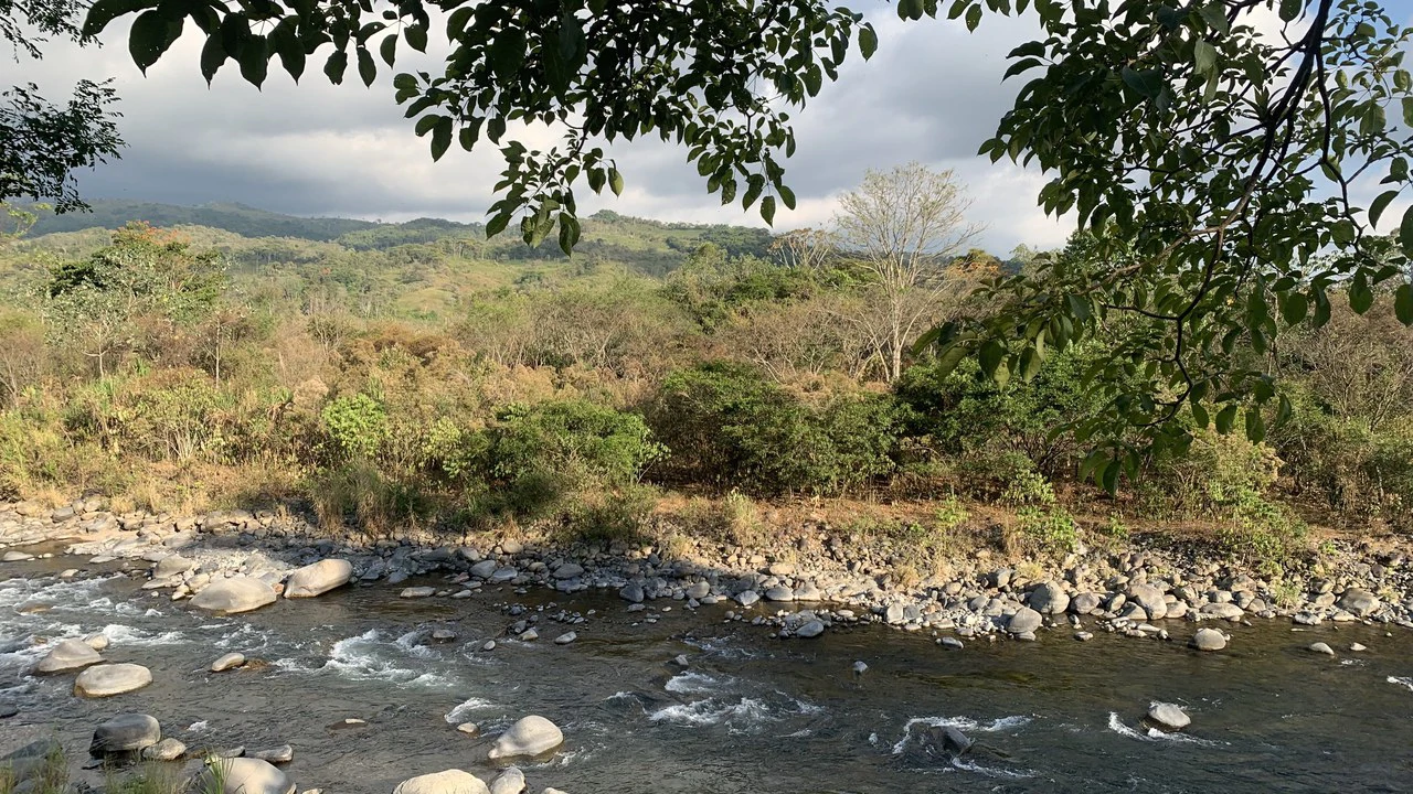 Talari Hotel: Nature and Bird Lover's Paradise - Mountain Lodge - Gallery image 39