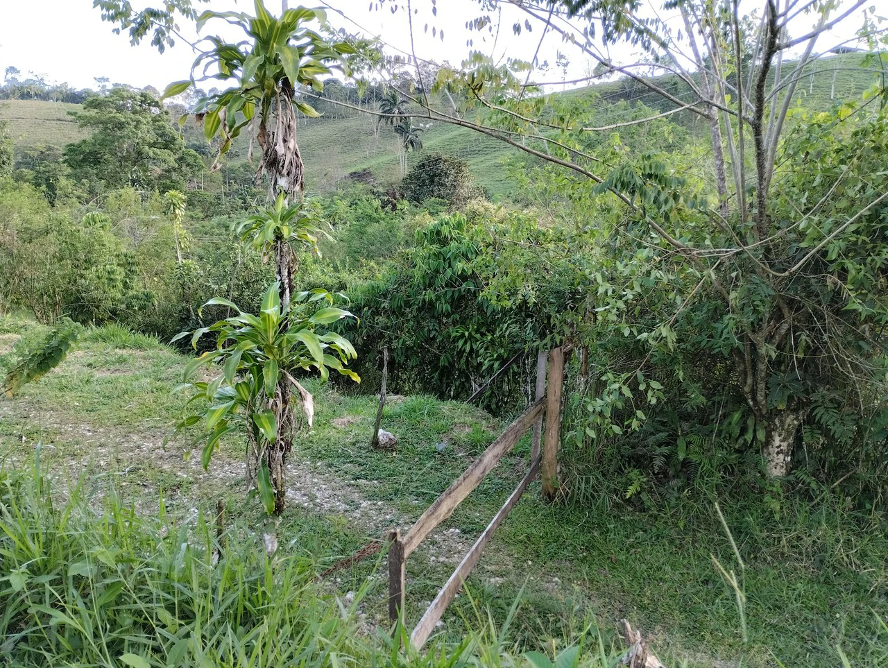 Charming Private Mountaintop home in the perfect climate of San Vito Coto Brus, San Isidro-Perez Zeledon, San Vito, San Jose, Costa Rica - Gallery image 8