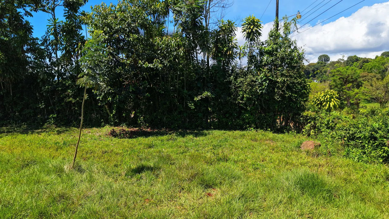 Countryside Home Construction Site For Sale in Daniel Flores - Gallery image 8