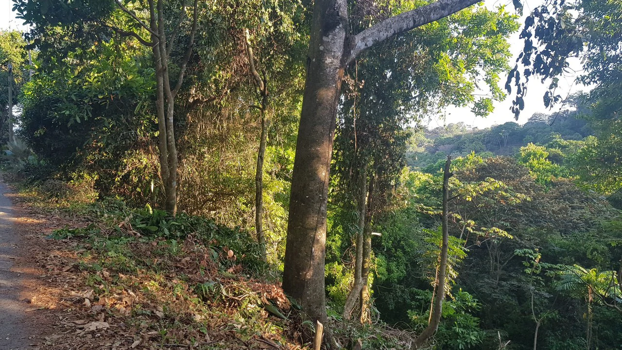 Building Lot in Manuel Antonio, Surrounded by Nature - Gallery image 3