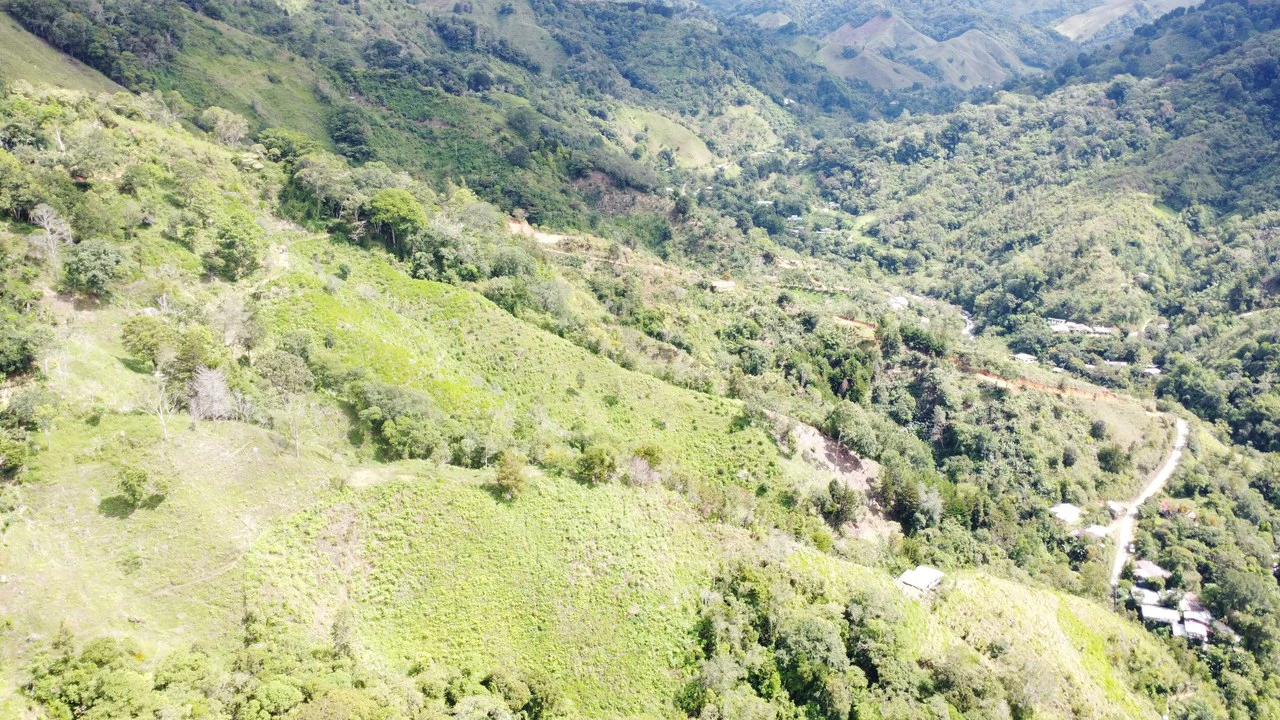 LOTE EN HERRADURA RIVAS.: Mountain Agricultural Land For Sale in San Isidro del General - Gallery image 9