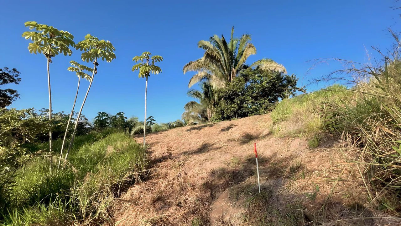 Exclusive Hermosa 1.2 Acre Lot with Panoramic Mountains and Ocean View. - Gallery image 7