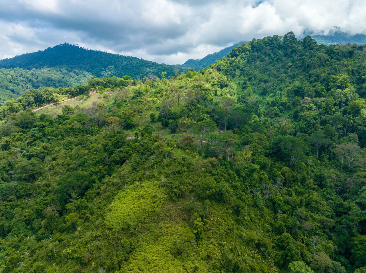 101 Acre Waterfall Riverfront and Ocean View Farm in Playa Uvita - Gallery image 16