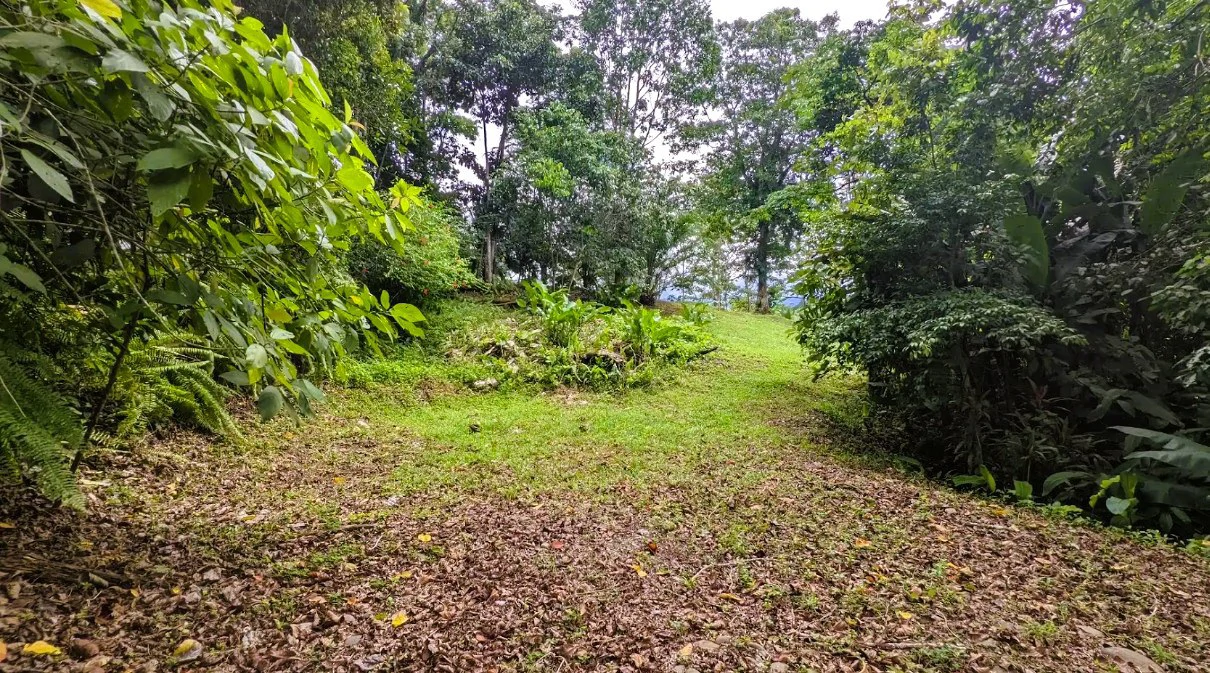 ID 4202: Affordable Lot inside the Gated Community with Owner Financing available - Gallery image 8