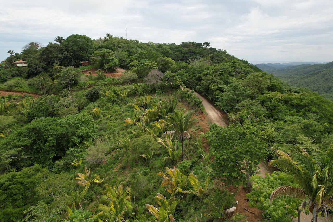 Lotes Paraíso: Spectacular Ocean and Mountain View 5.77 acres Development Land - Gallery image 13