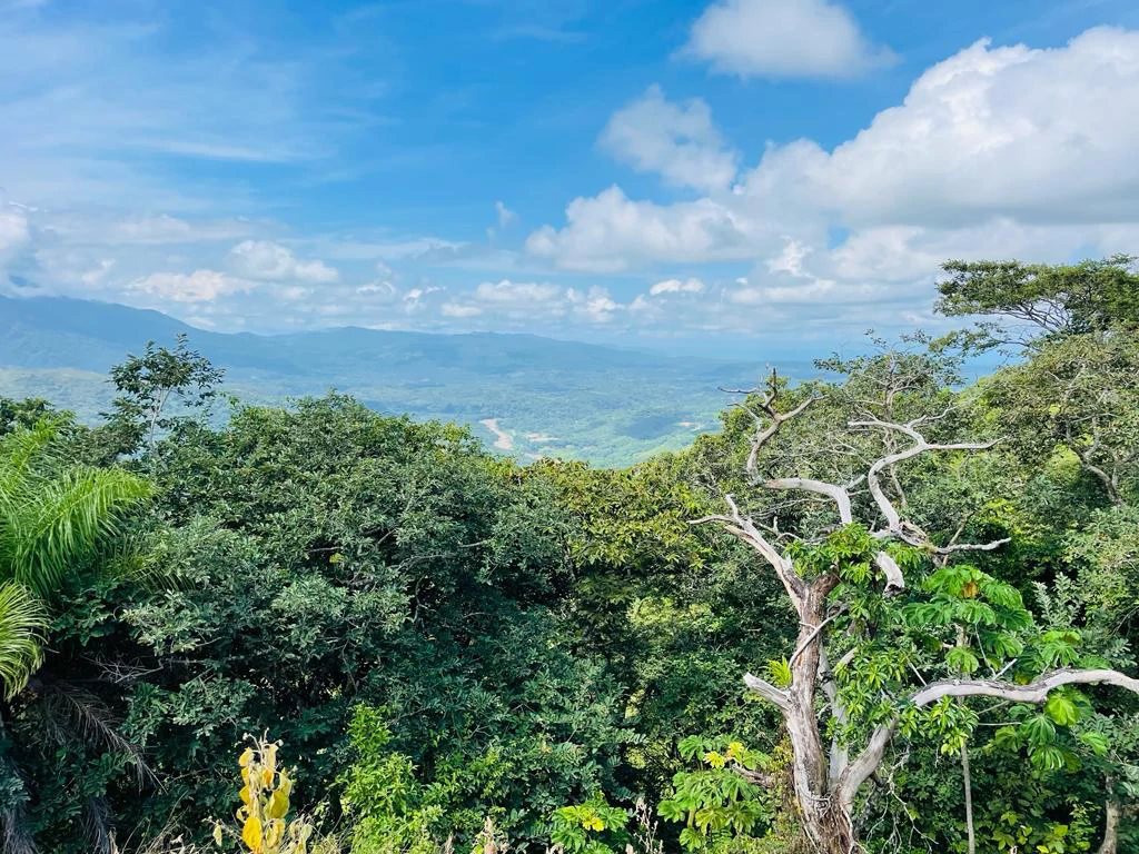 Lot for sale in Residencial Vista Mar Ocean and mountains view between San Mateo and Orotina Alajuela Costa Rica - Gallery image 10