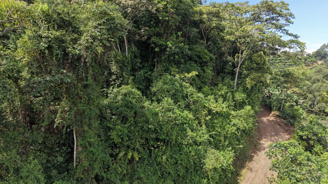 Mountain Home Construction Site For Sale in San Isidro del General