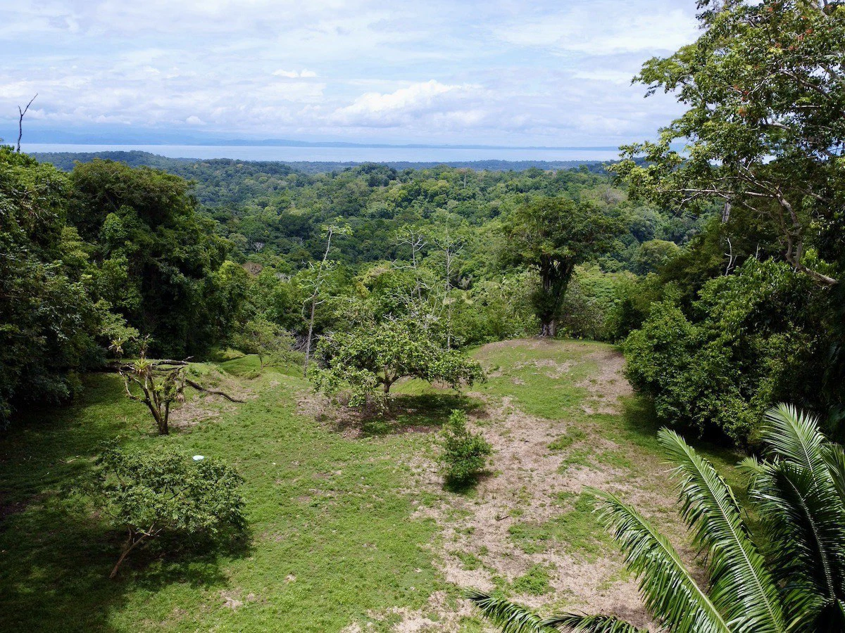High Elevation Rainforest and Ocean View Property - Gallery image 4