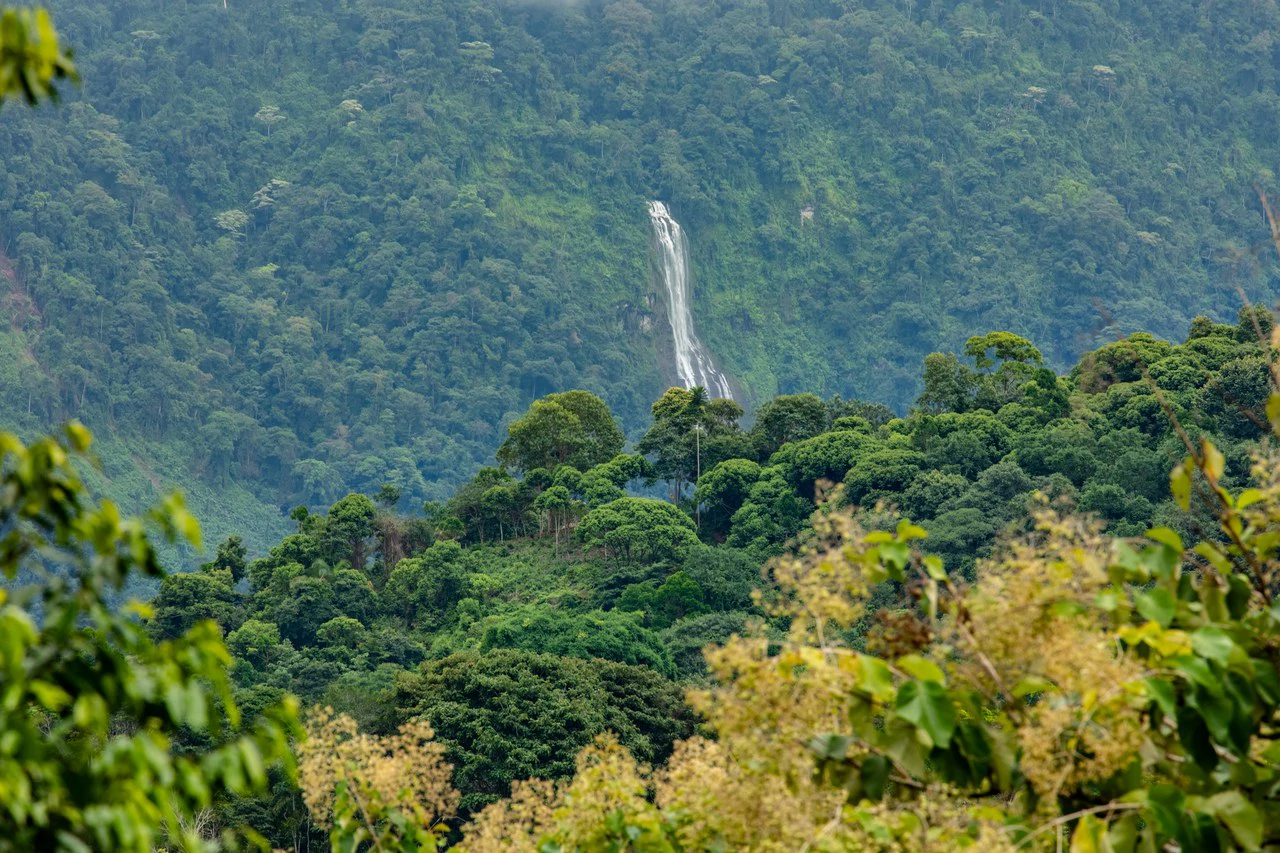 2.4 Acre Property In The Mountains Above Dominical with Waterfall Views - Gallery image 8