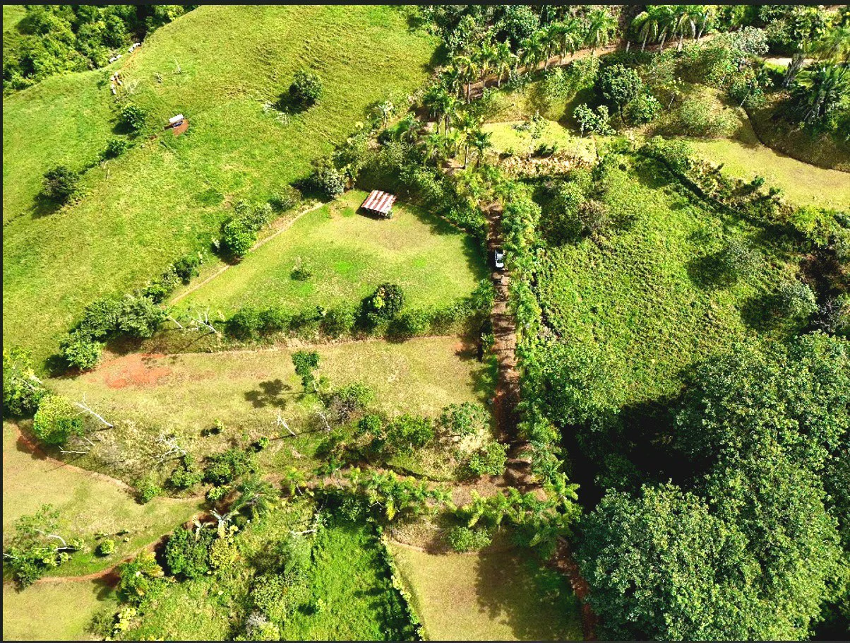 Mountain Home Construction Site For Sale in Miravalles - photo 4