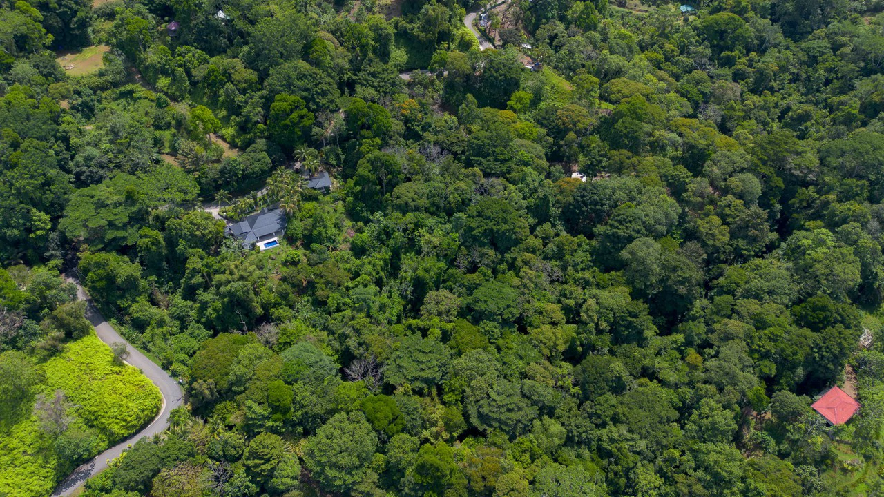 6.45 ACRES – 3 Bedroom Luxury Ocean View Home Surrounded By Vibrant Rainforest And Wildlife!!! - photo 16