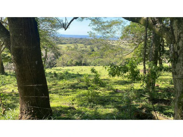 Nature Paradise Farm for sale in the mountains of Quebrada Grande, Building potential property 30 minutes away from Liberia - Gallery image 30