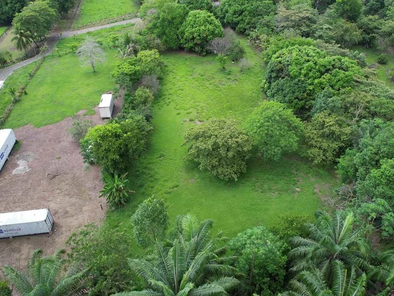 Walk to the Beach | Your Paradise in Playa Blanca, La Palma - Gallery image 8