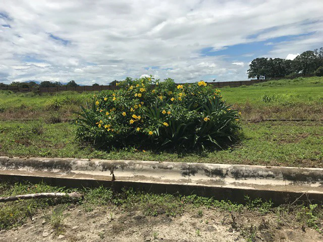 Large Development Land for Sale in Liberia, Guanacaste, Costa Rica - Gallery image 66