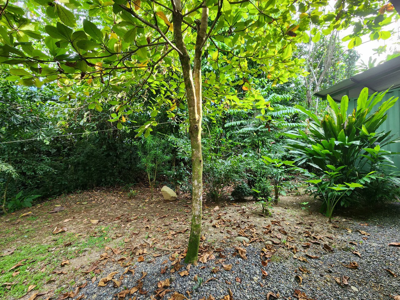 FOR SALE IN UVITA HOUSE WITH STUDIO APARTMENT AND RIVER ACCESS - Gallery image 22