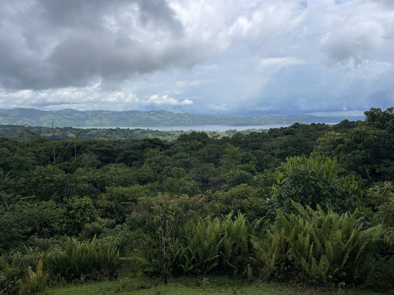 Magnificent 65-acre (26-hectare) estate, featuring a canopy tour, two homes, horses, walking trails, and 14 build-ready platforms. - Gallery image 44