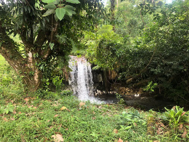Cold & Hot springs surrounded by an overgrown farm, taken back by nature - Gallery image 9