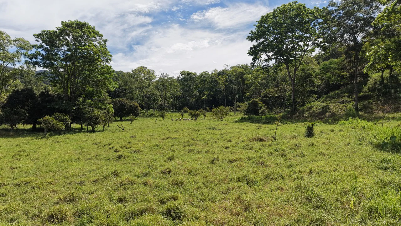 Mountain Home Construction Site For Sale in San Isidro del General - photo 4