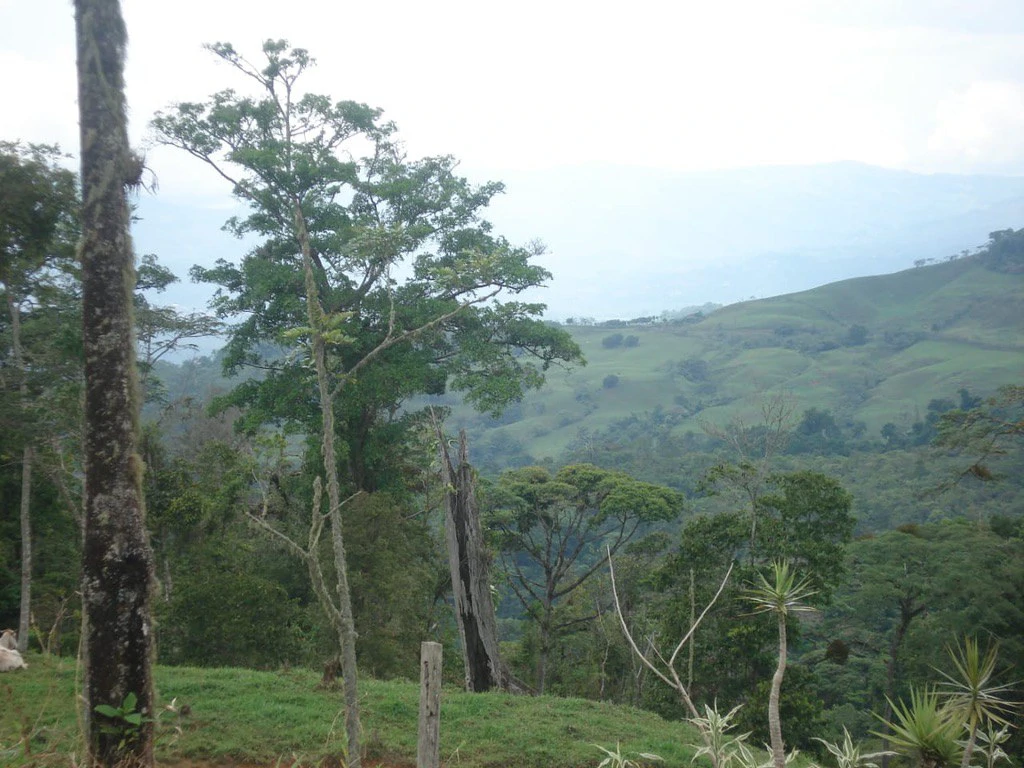 Stunning 17-Hectare Finca in Santa Elena - Gallery image 4