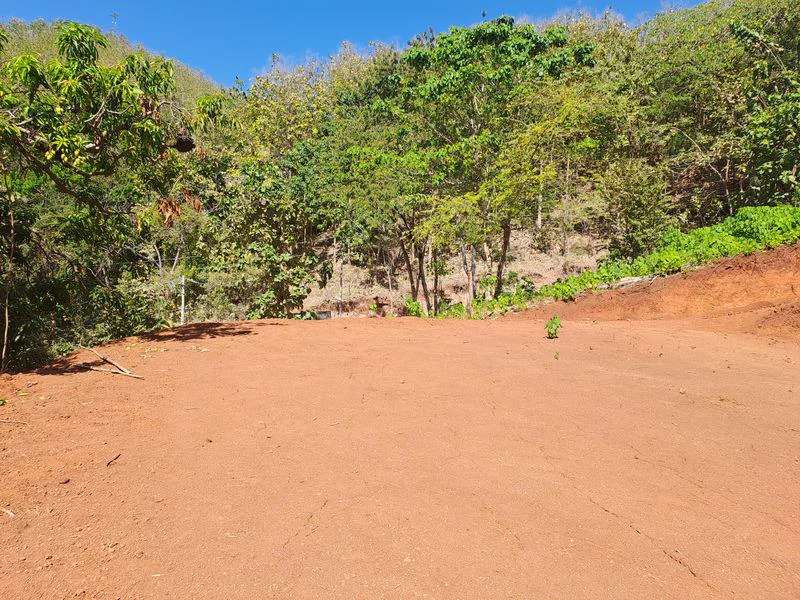 Lote Pacifico: Price Reduction - Rare Ocean-View Parcel, Just Minutes from Samara Beach - Gallery image 3