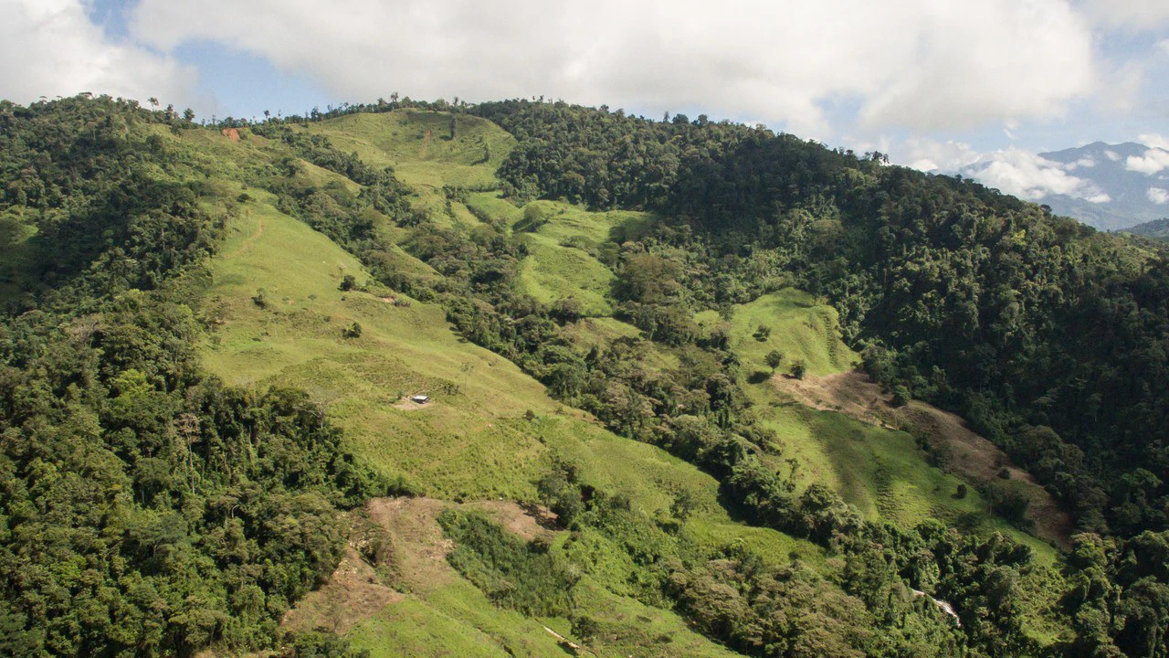 Off Grid 70-Hectare Farm with Stunning Ocean Views and Freshwater Springs - Gallery image 7
