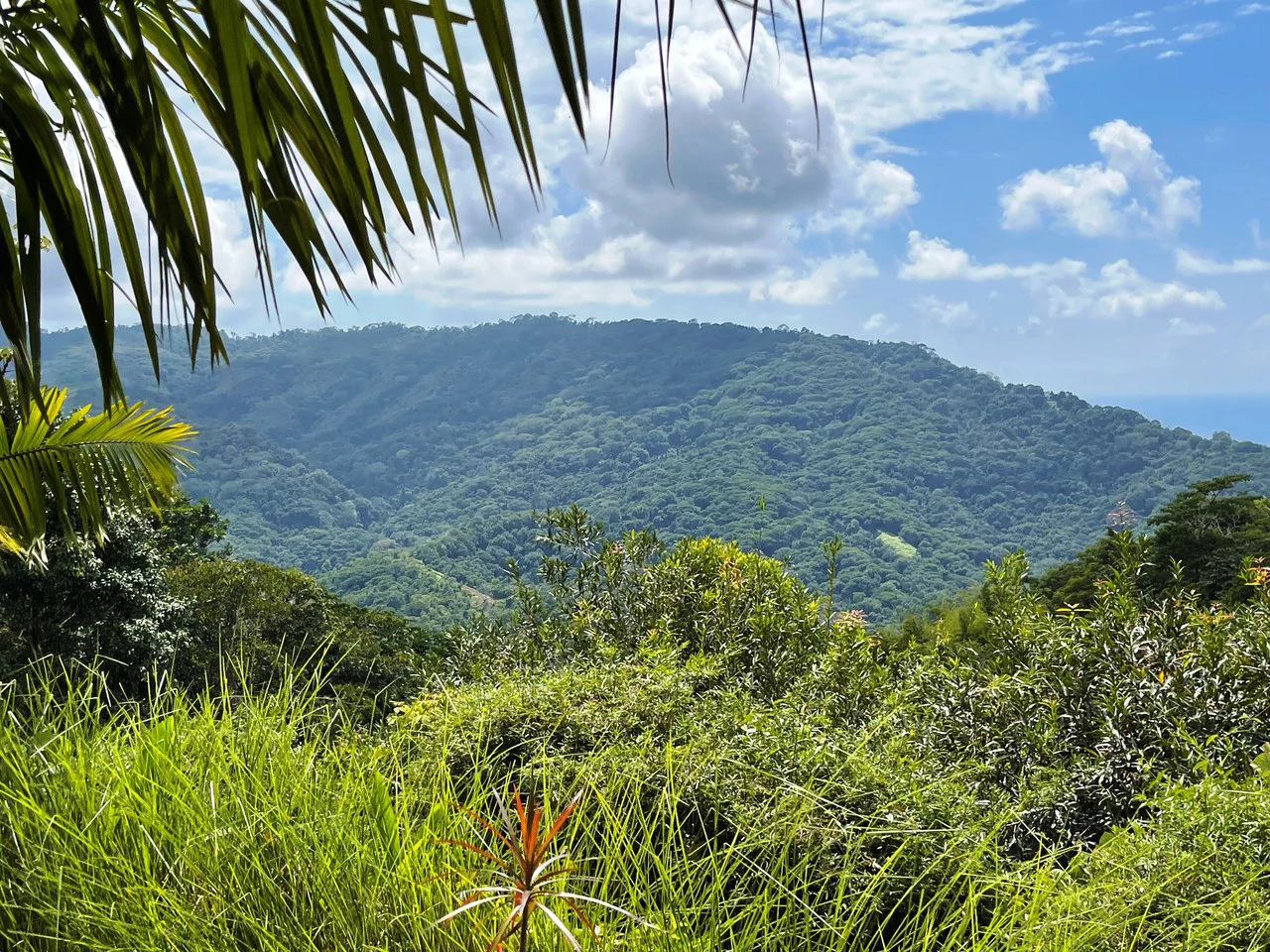 Sunset Ocean View Home on 2.6 Acres Platanillo - Gallery image 32
