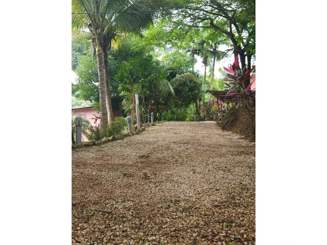 Nosara's Brand New Top Villas as a Business Opportunity in the dense forest of catchment area, 7 villas for sale in Costa Rica's Healthy Blue Zone - Gallery image 23