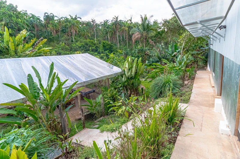 Casa San Pedrito: Beautiful house for sale in San Pedrito,(1,3hect) Perez Zeledon - Gallery image 6