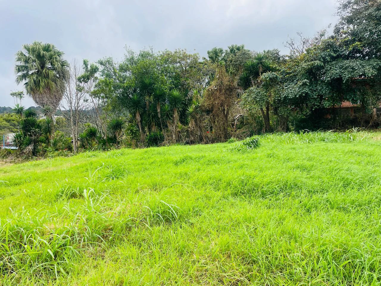 Lot for sale in Escazú for condominium development Costa Rica - Gallery image 7