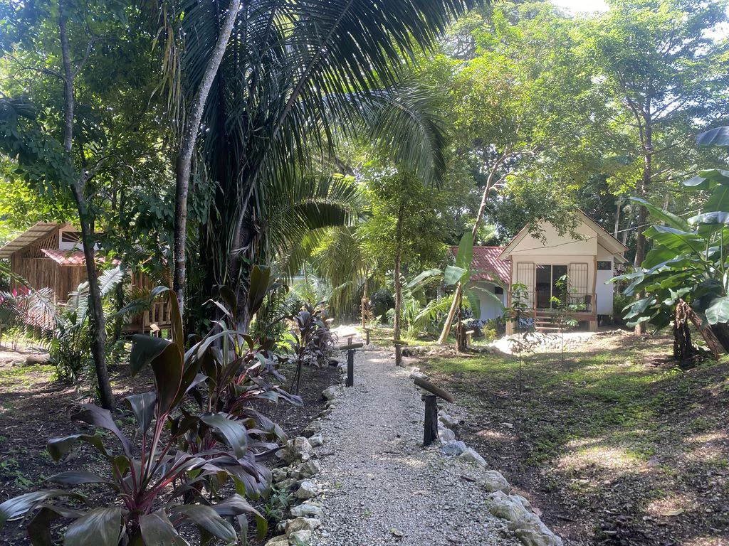Holistic Yoga Retreat: Relaxation, Peace, Balance and Tranquility, Yoga Retreat with 4 Bungalows and 3 Apartments Elevated upon 1.25+ Acres - Gallery image 30