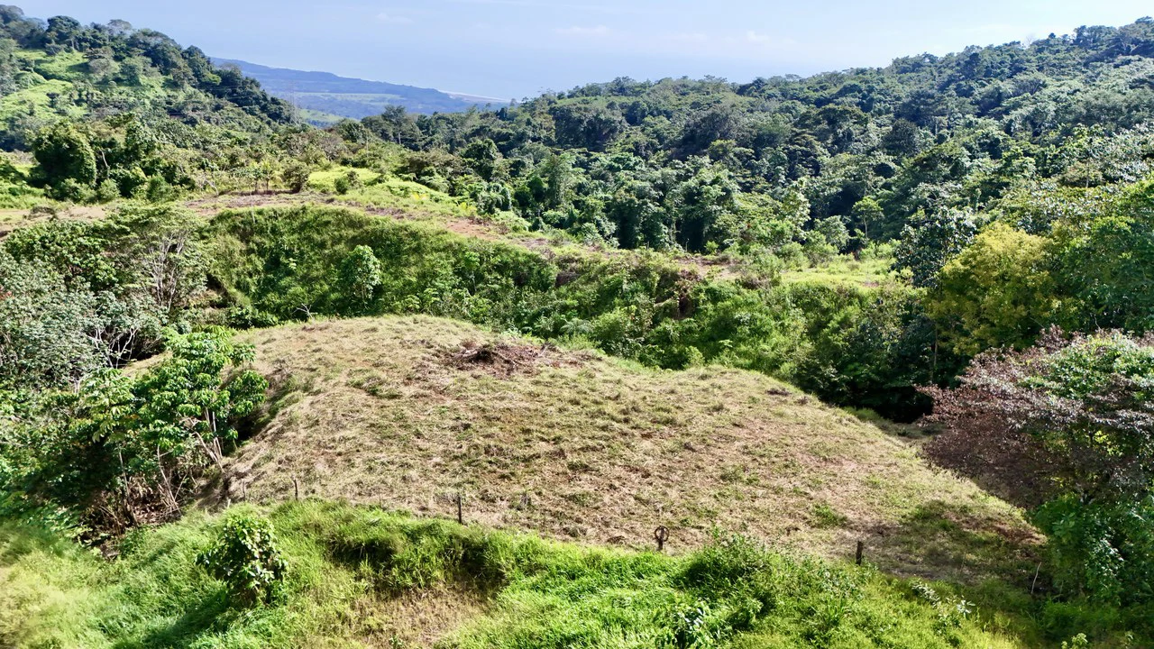Off-Grid Ocean View Lot | 1.7 Acres in Las Nubes Matapalo Hills - Gallery image 5