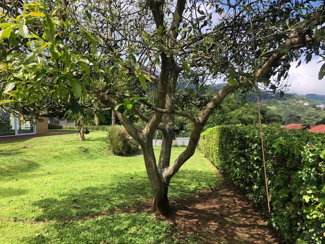 Property in the exclusive green area - San Antonio Escazú with a view of the valley - Gallery image 23