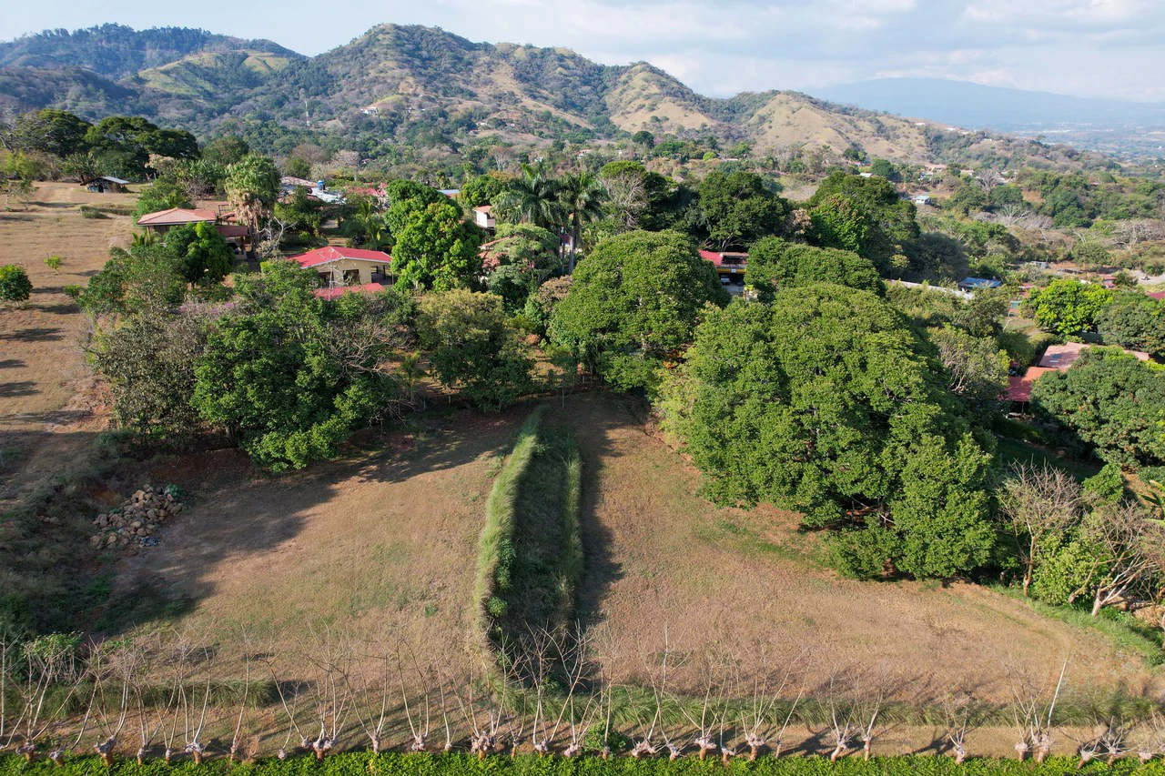 Lot in Barrio San José Sur , Atenas – Strategic Location - Gallery image 4