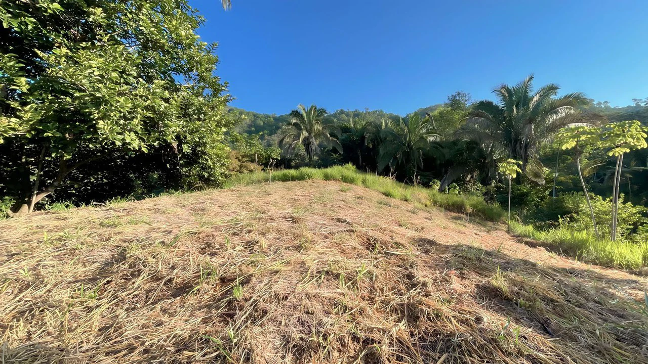 Exclusive Hermosa 1.2 Acre Lot with Panoramic Mountains and Ocean View. - Gallery image 3