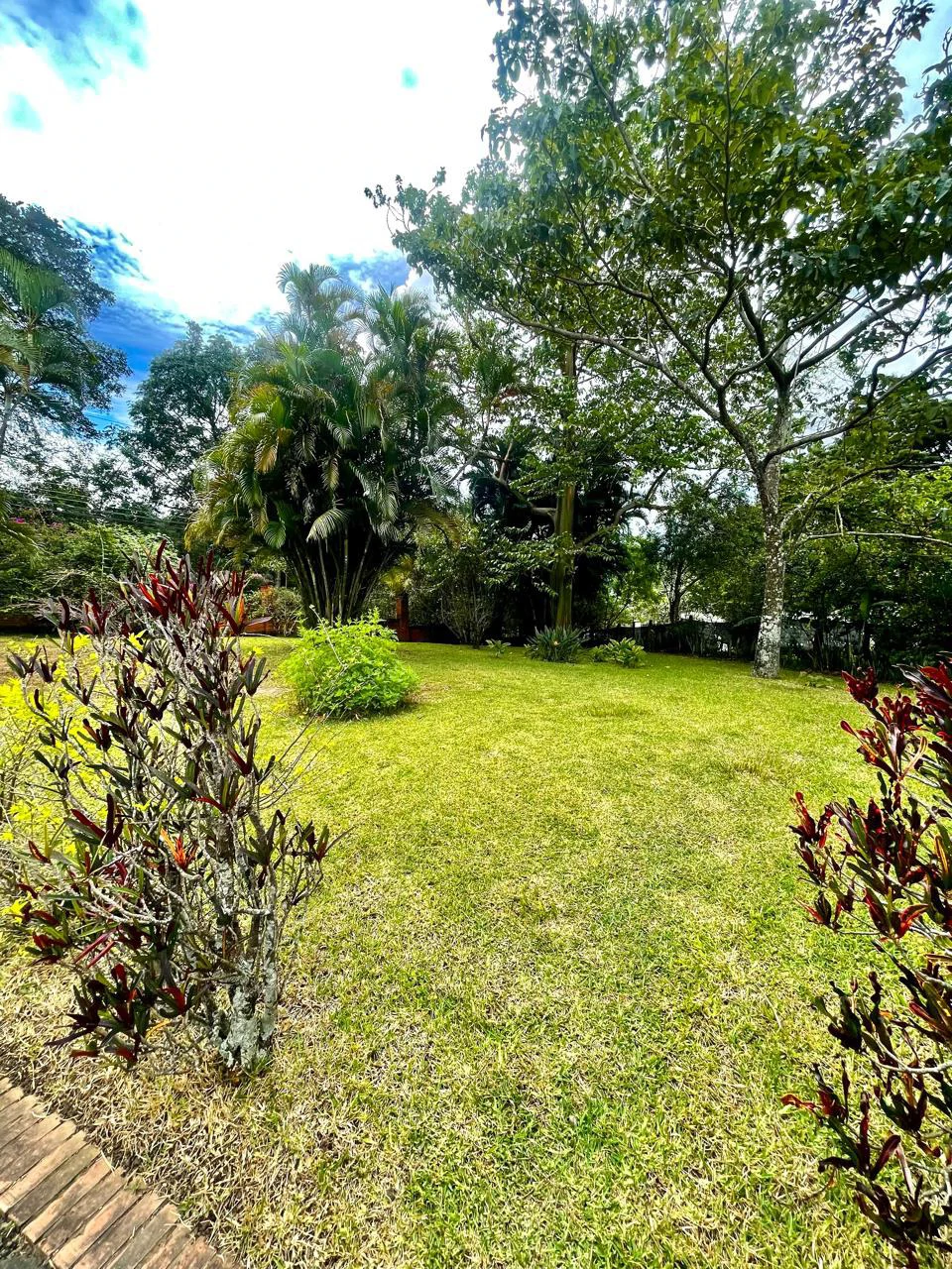 House to Remodel with 1,700 sq m of Land in Pozos, Santa Ana - Gallery image 29